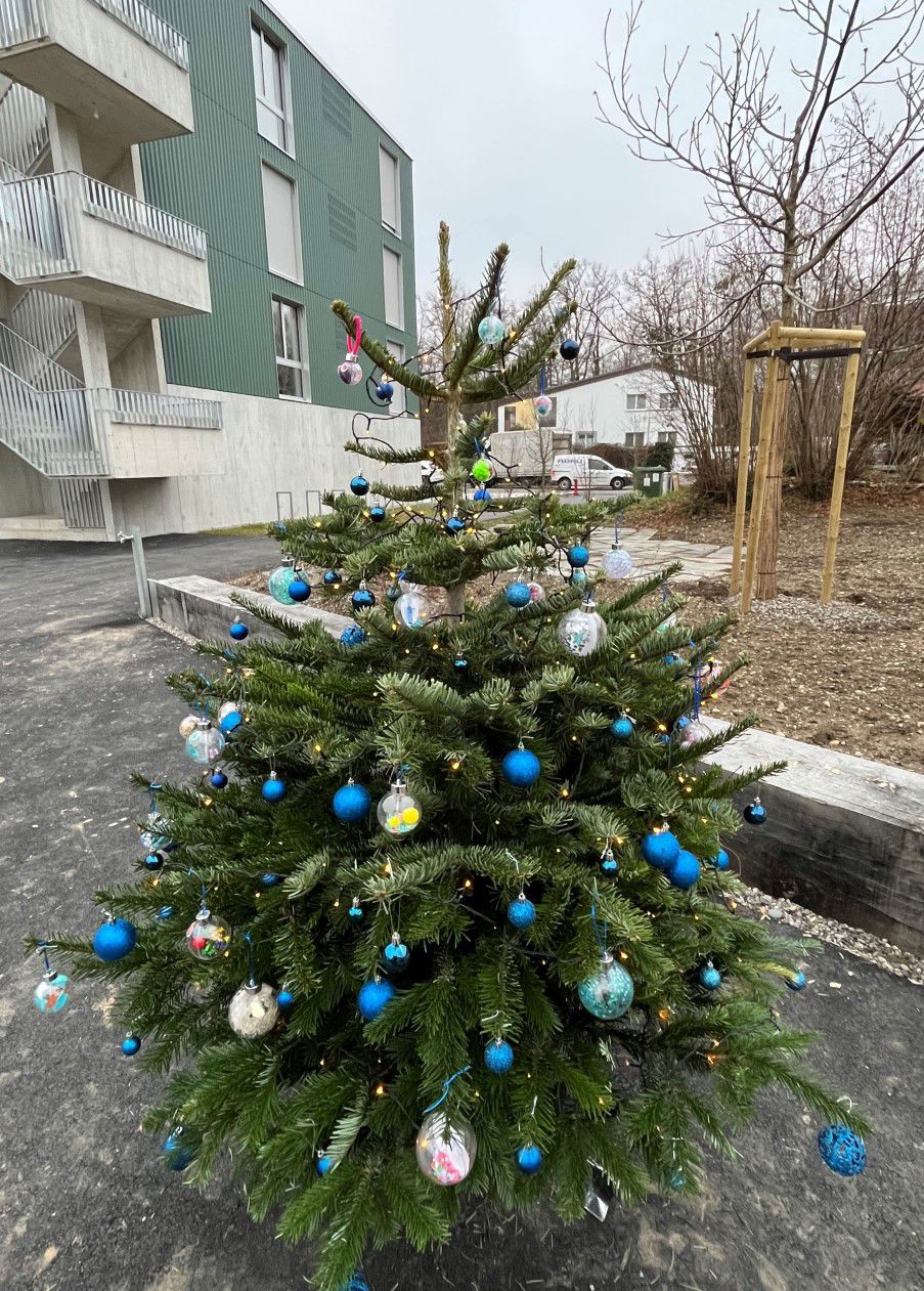 Weihnachtsbaum